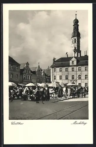 AK Cottbus, Markttag auf dem Marktplatz