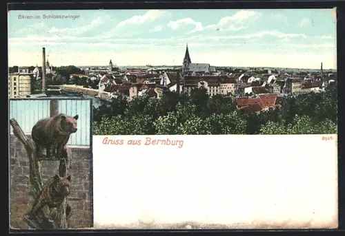 AK Bernburg, Ortspanorama, Bären im Schlosszwinger