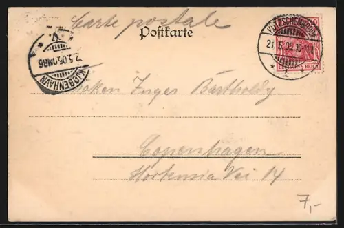 AK Niederlössnitz, Ortsansicht mit Bergen