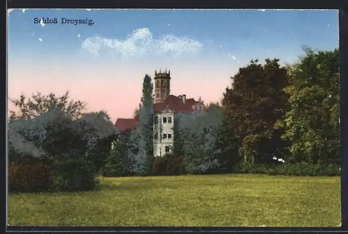 AK Droyssig, Blick auf das Schloss aus dem Grünen