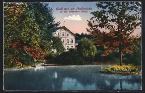AK Dresden, Dresdner Heide, Heidemühle, Teich