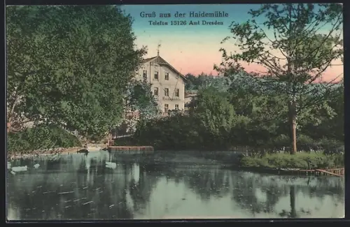 AK Dresden-Dresdner Heide, Mühle am Teich, Waldlandschaft