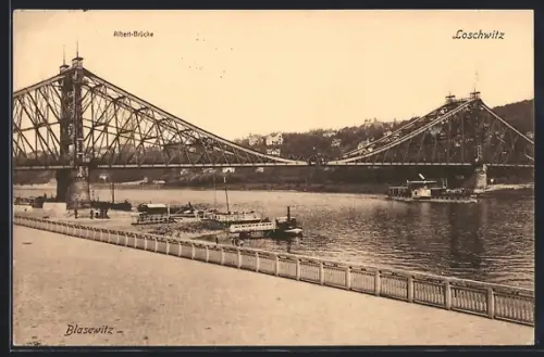 AK Dresden-Blasewitz, Albert-Brücke, Loschwitz, Elbufer