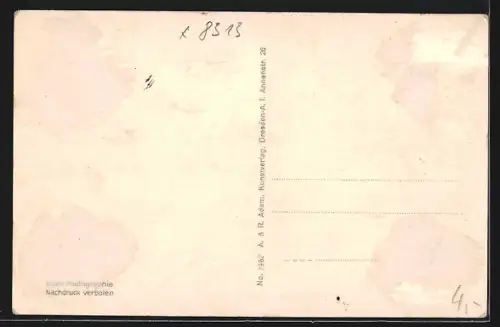 AK Dohna i. Sa., Kirche, Marktplatz, Wohnhäuser