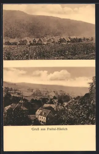 AK Freital, Ortspanorama, Teilansicht von Häslich