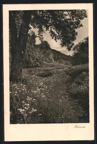 AK Schiers, Maria, Wegpartie im Tal