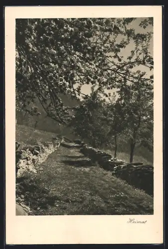 AK Schiers, Von Steinmauern eingefasster Weg