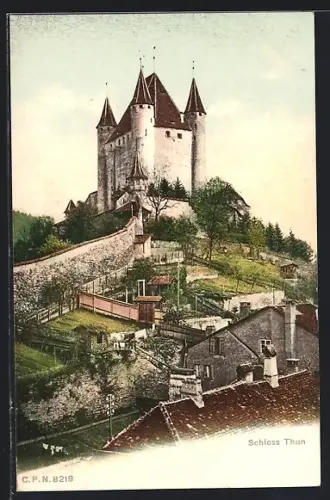 AK Thun, Blick auf das Schloss Thun