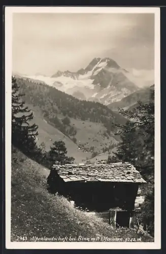 AK Binn, Alpenlandschaft mit Hütte, im Hintergrund Ofenhorn