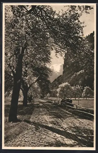 AK Untervaz, Strassenpartie mit Blick auf das Hochgebirge