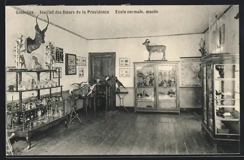 AK Gosselies, Institut des Soeurs de la Providence, Ecole normale, musée