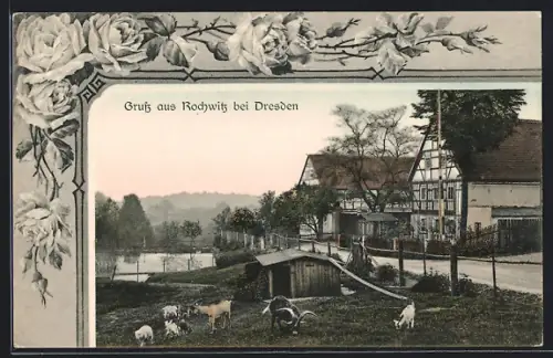 AK Rochwitz bei Dresden, Ziegen am Strassenrand
