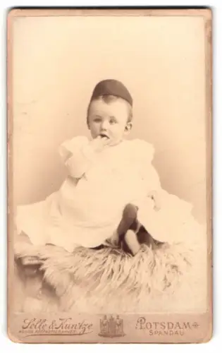 Fotografie Selle & Kuntze, Potsdam, Schwertfeger-Str. 14, Porträt eines Kleinkindes