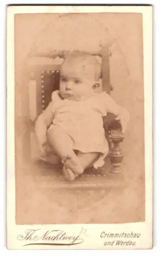 Fotografie Th. Nachtwey, Crimmitschau, Thiemestrasse, Porträt eines Kleinkinds auf einem Stuhl