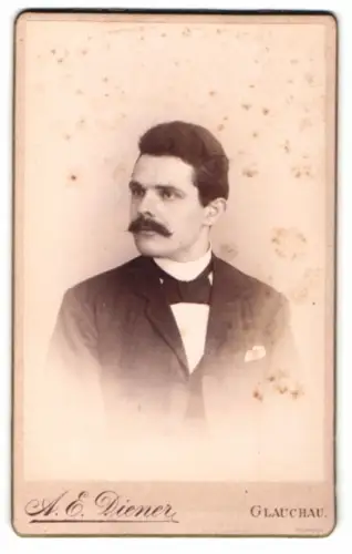 Fotografie A. E. Diener, Glauchau, Theaterstrasse 38, Porträt eines Herrn mit Schnurrbart