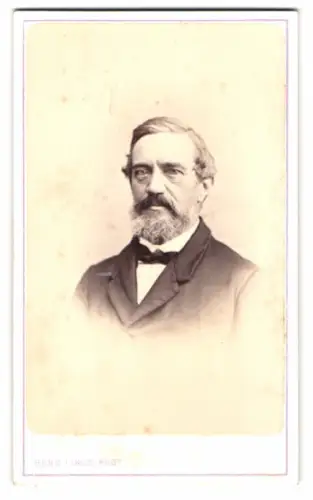 Fotografie Herm. Linde, Lübeck, Johannisstrasse 31, Porträt eines Herrn mit Bart