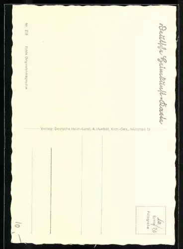 AK Rauhhaardackel auf einer Bank