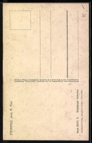 AK Kleiner Steinkauz zwischen Blättern
