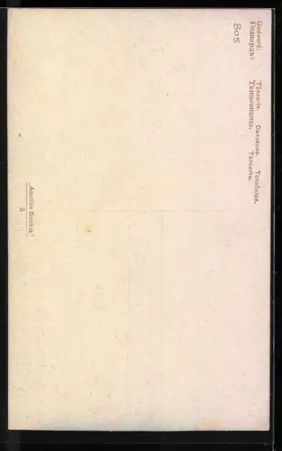 AK Tänzerin mit Tamburin