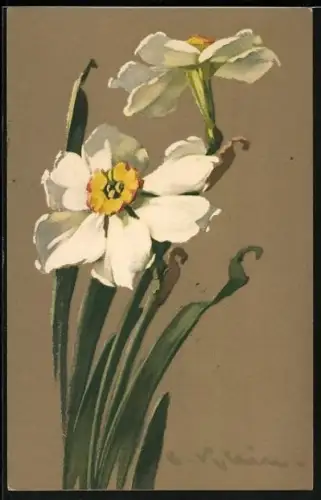 Künstler-AK Catharina Klein: weisse Blumen