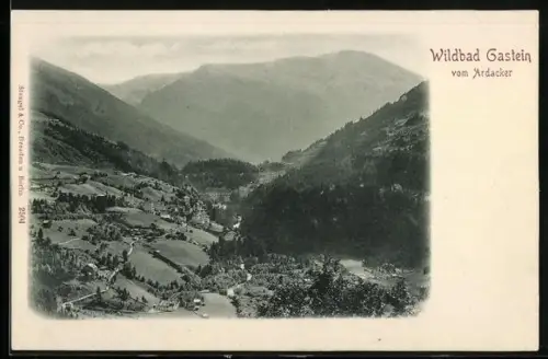 AK Wildbad Gastein, Totalansicht vom Ardacker