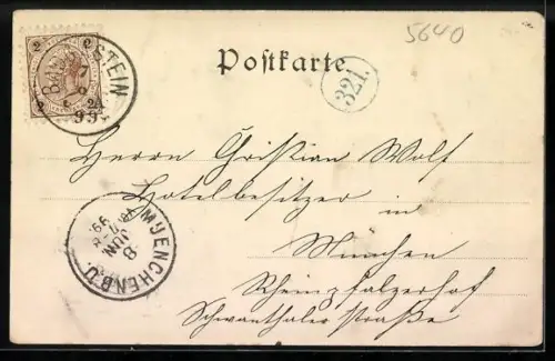 AK Wildbad Gastein, Totalansicht mit Bergpanorama