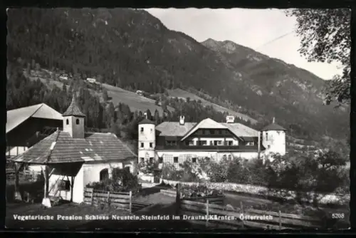 AK Steinfeld im Drautal, Vegetarische Pension Schloss Neustein mit Umgebung
