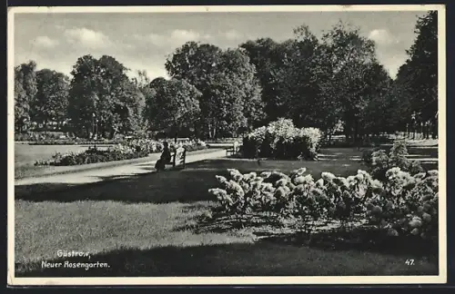 AK Güstrow, Neuer Rosengarten mit Besuchern