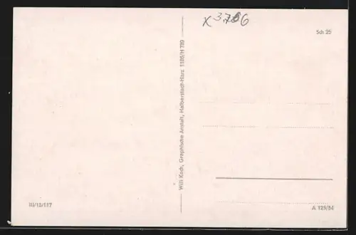 AK Schierke / Harz, Ferienheim Franz Mehring