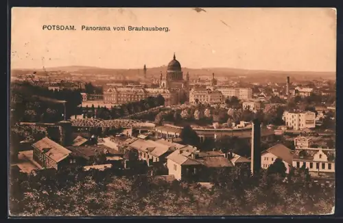 AK Potsdam, Panorama vom Brauhausberg mit dem Schloss Sanssouci
