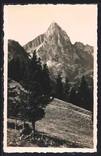 AK Gummfluh, Landschaftspartie mit Berggipfel