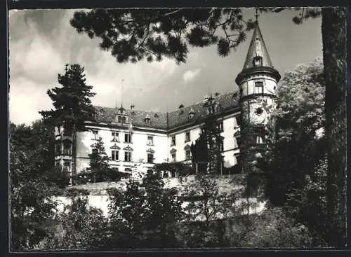 AK Hüttwilen /Thg., Kurhaus Schloss Steinegg im Sonnenschein