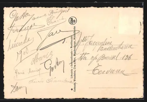 AK Wenduine, Panorama