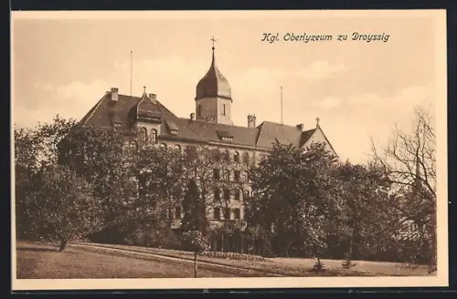 AK Droyssig, Kgl. Oberlyzeum