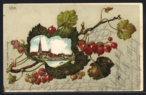 Passepartout-Lithographie Ulm / Donau, Stadtpanorama im Stachelbeerblatt