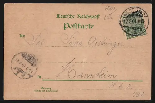 Lithographie Heidelberg, Sonntag Lätare, Der Sommertag in Heidelberg, Festliche Prozession vor Stadtpanorama