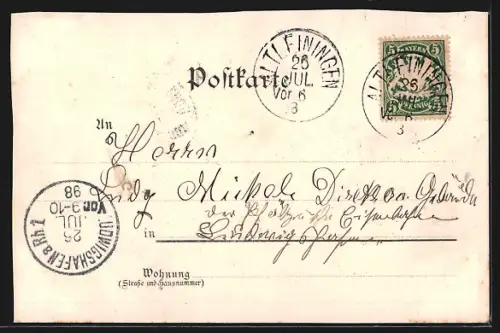 Lithographie Altleiningen, Gasthaus Weisses Ross von J. Schwender, Panorama, Schloss, Brunnen