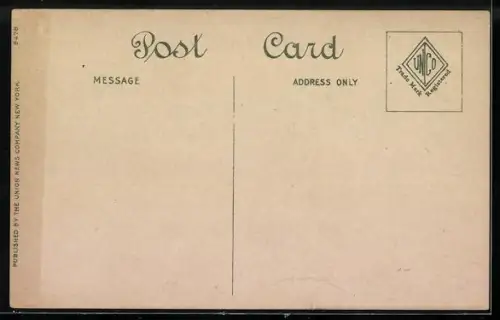 AK New York, NY, New York Public Library, 5th Ave. and 42nd Street