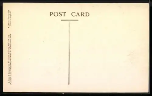 AK New York, Broadway Downtown and Entrance to Harbour as seen from Woolworth Tower