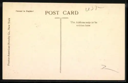 AK New York, The Public Library