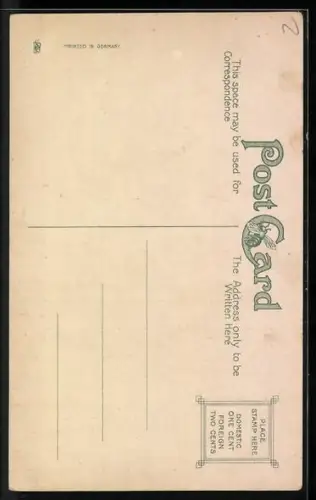 AK New York, NY, The Breslin Hotel, Broadway & 29th St.