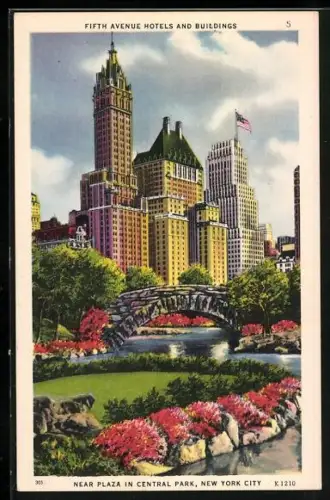 AK New York, NY, Fifth Avenue Hotel and Buildings