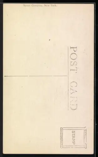 AK New York, NY, Allerton 39th. Street House