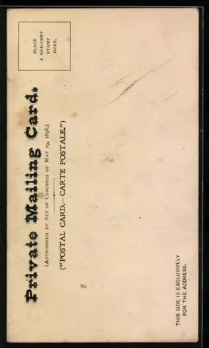 AK New York, NY, View of Hotel Savoy