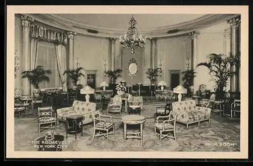 AK New York, NY, The Roosevelt Hotel, Palm Room