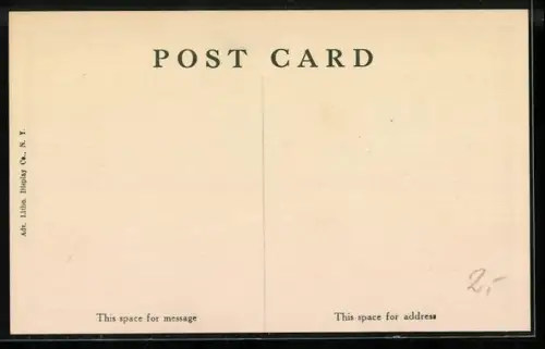 AK New York, NY, The Roosevelt Hotel, Palm Room