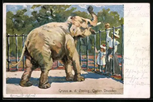 AK Trompetender Elefant, Mutter mit Kindern vor dem Zaun