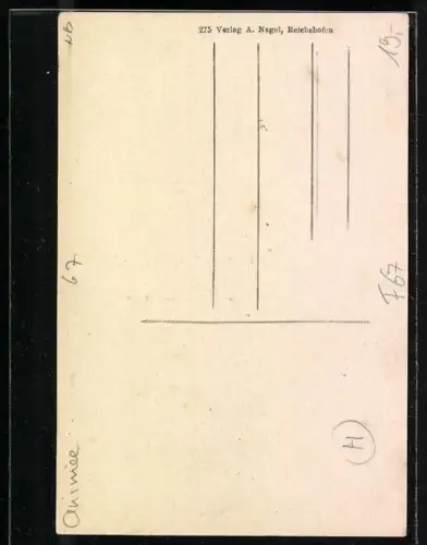 AK Reichshofen, Hauptstrasse und Ortsansicht mit Geschäften