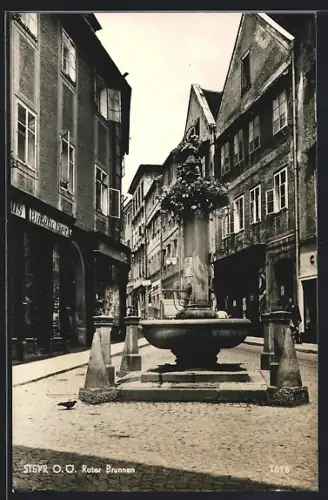 AK Steyr /O. Ö., Roter Brunnen mit Taube