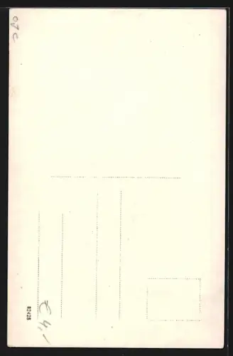 AK Weyer /Ob.-Öst., Kühe am Waldrand, Blick zu einem Haus